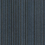 C1